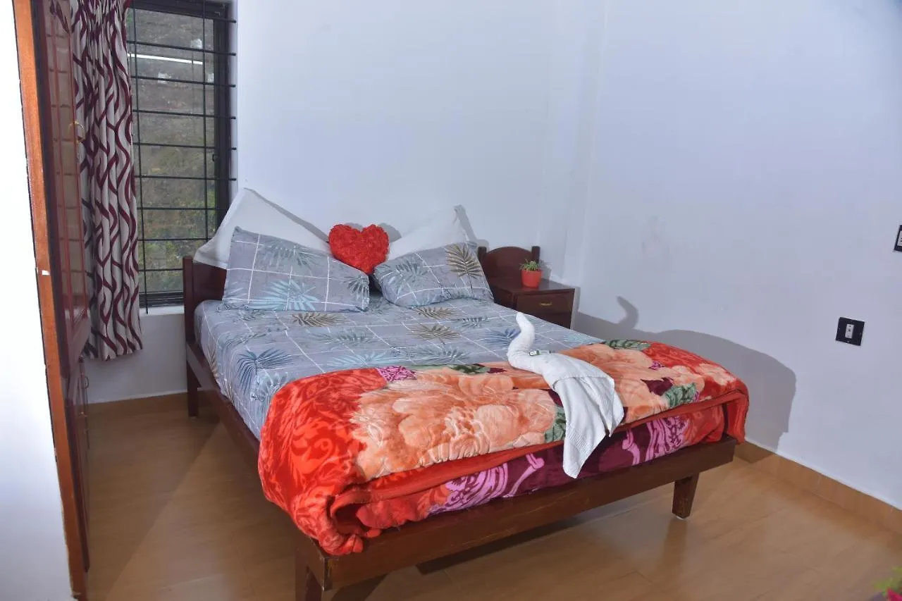 Ac Mist Hotel Munnar